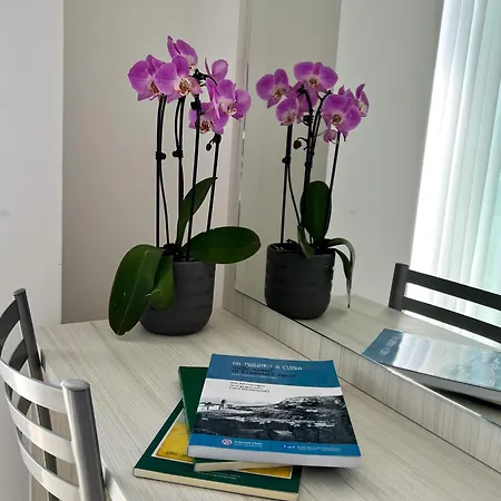 Ideal Hotel *